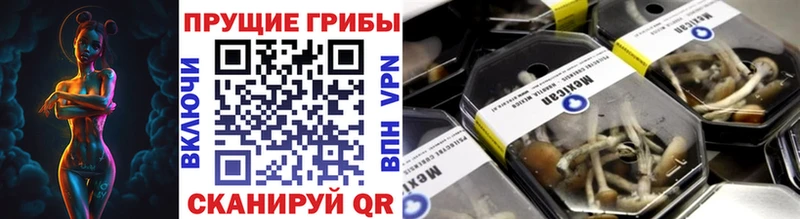 Псилоцибиновые грибы прущие грибы  Чадан 